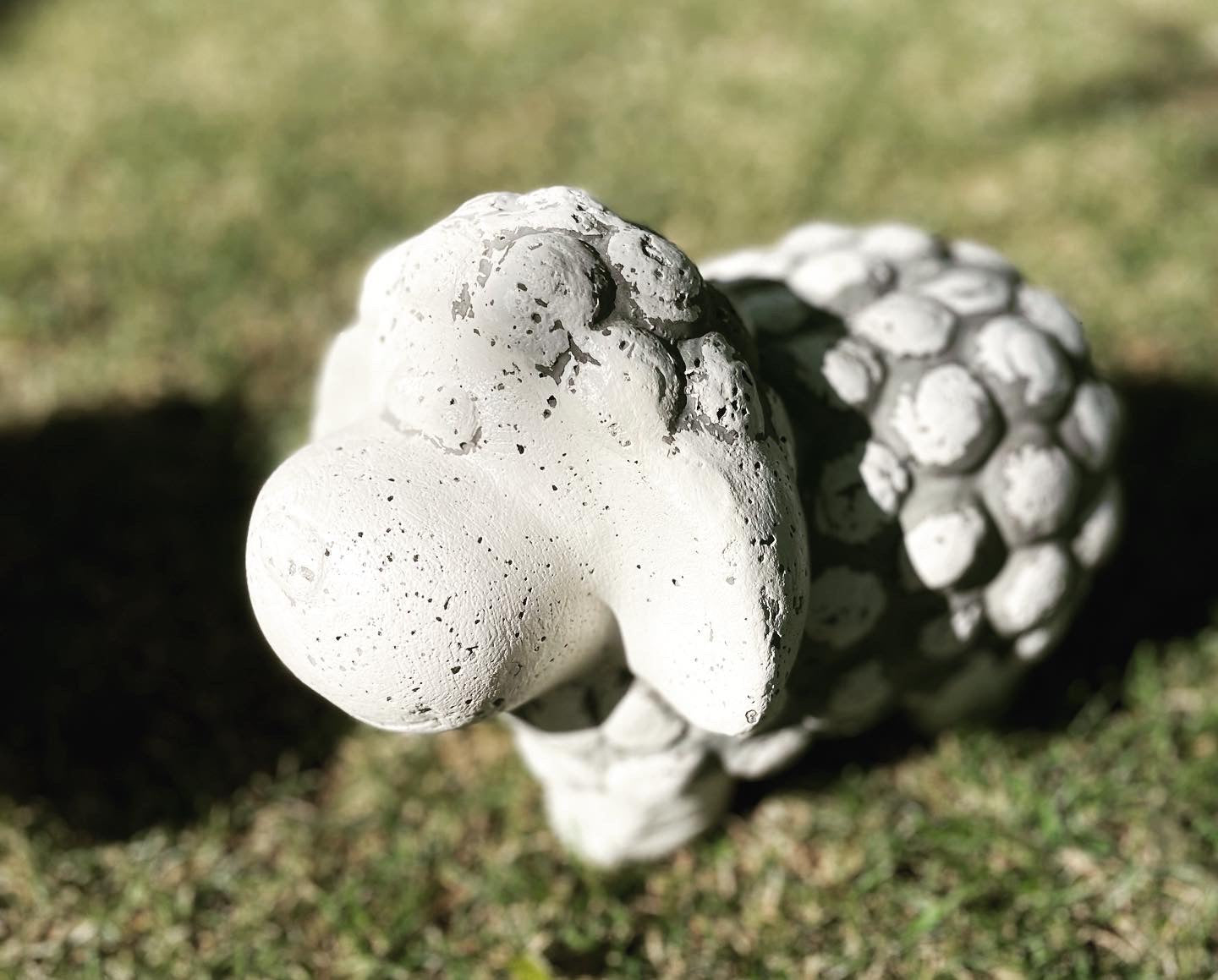 Garden sheep