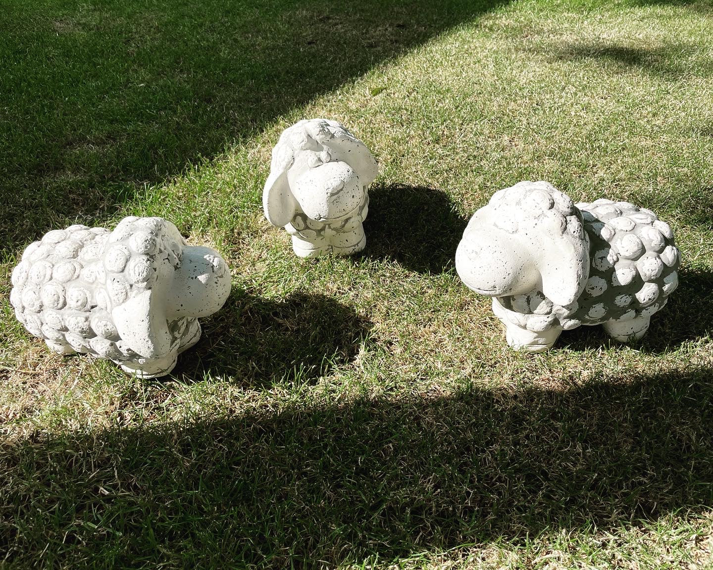 Garden sheep