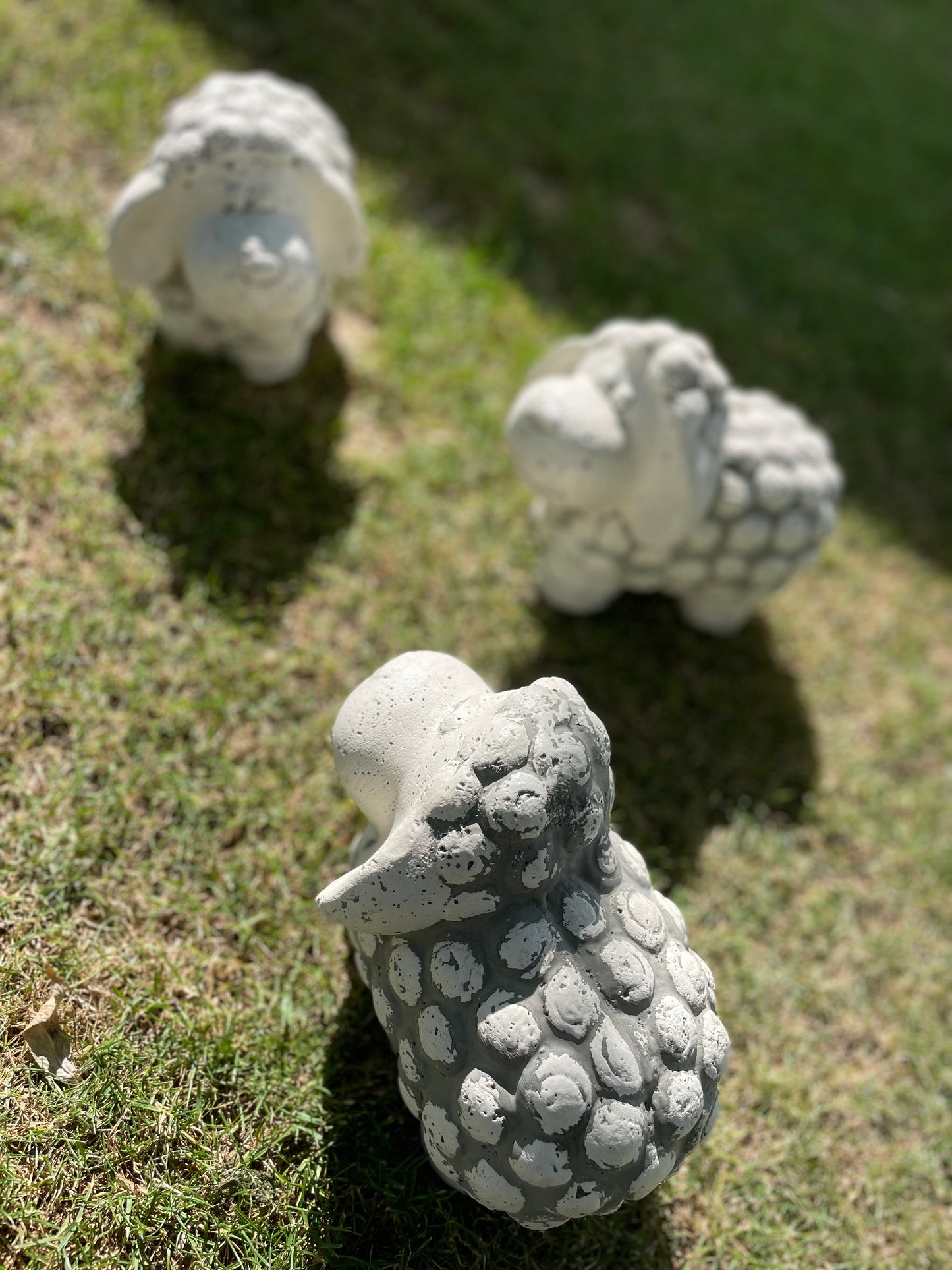 Garden sheep