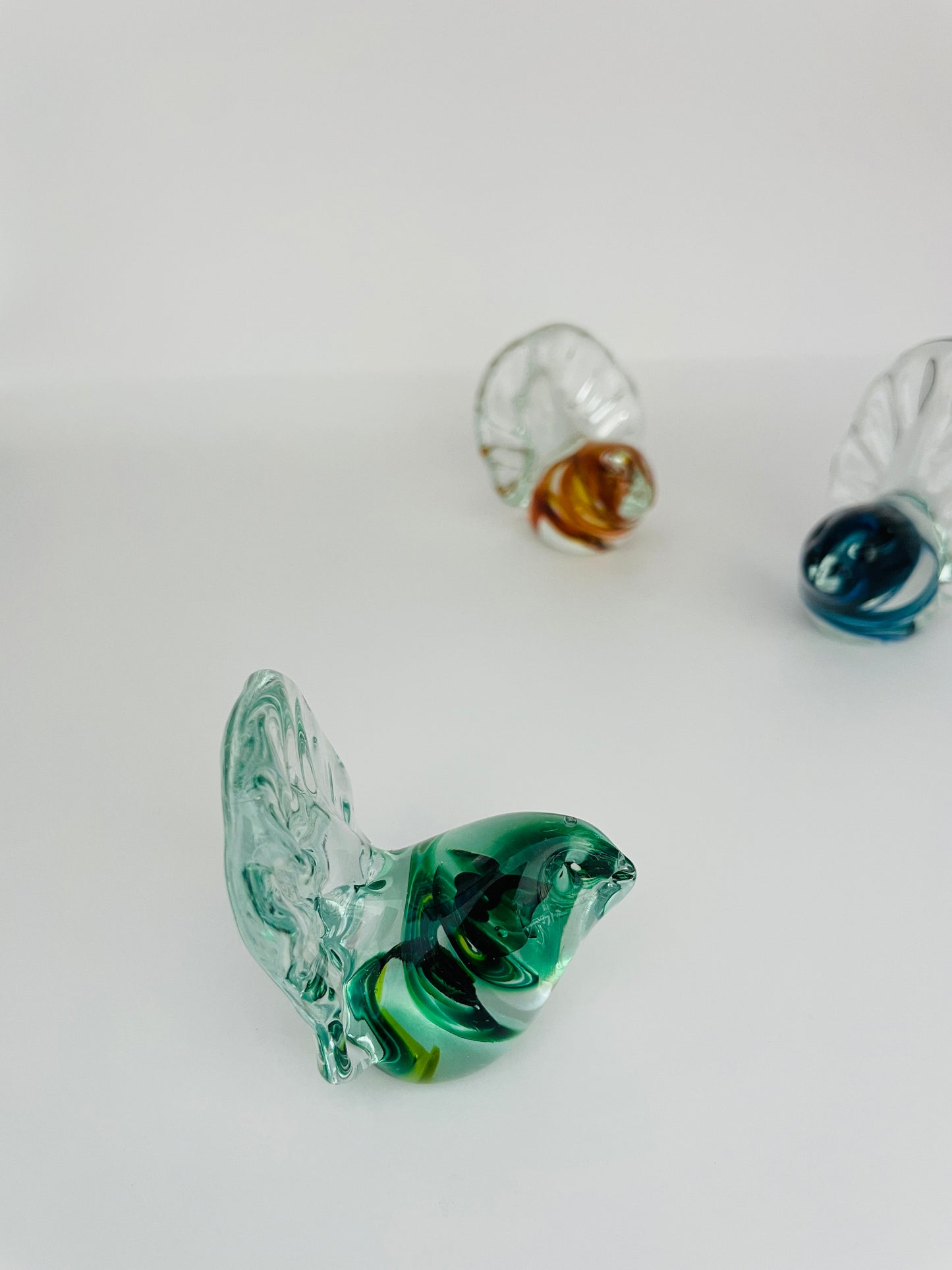 Glass Fantail