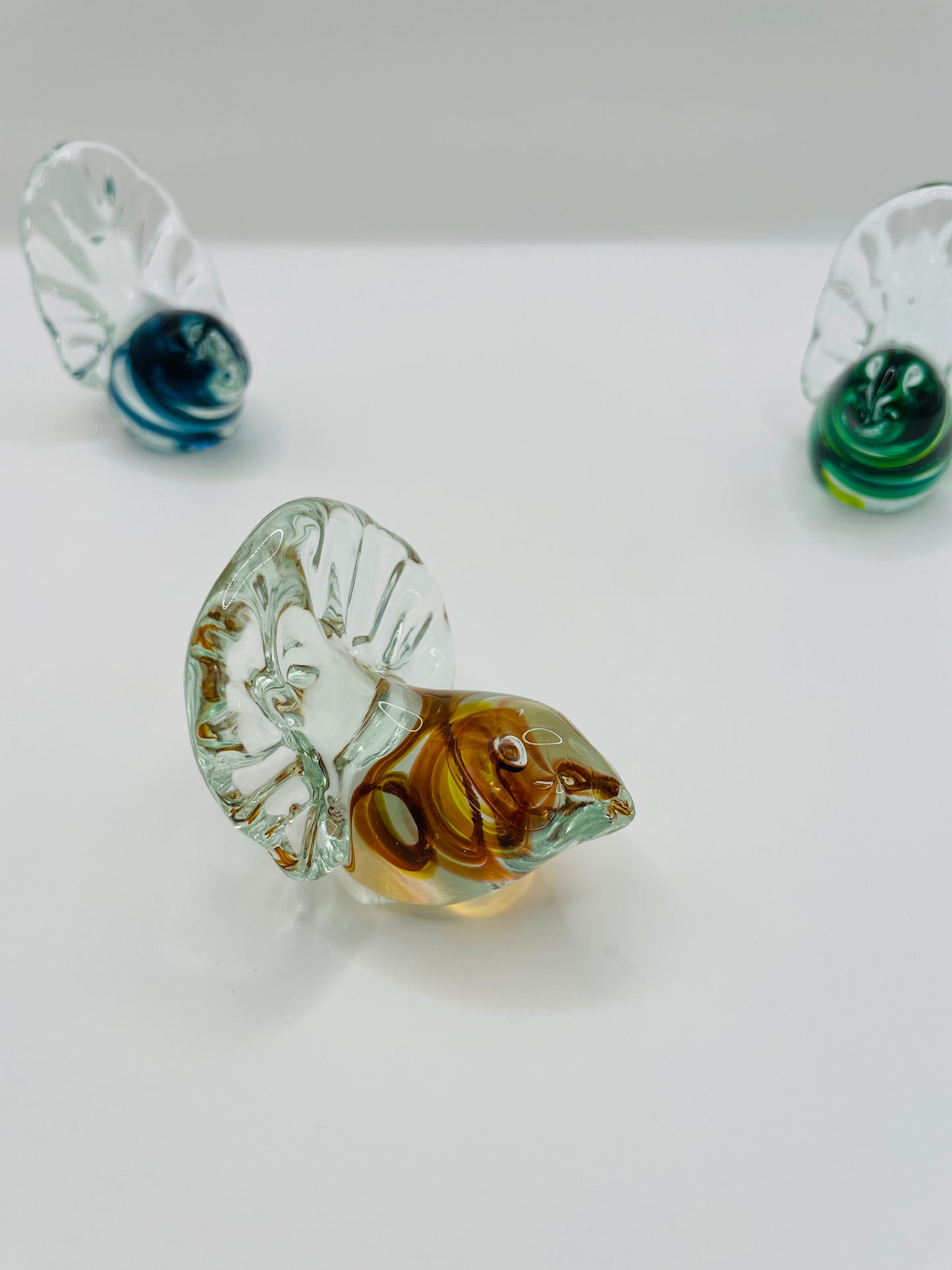 Glass Fantail