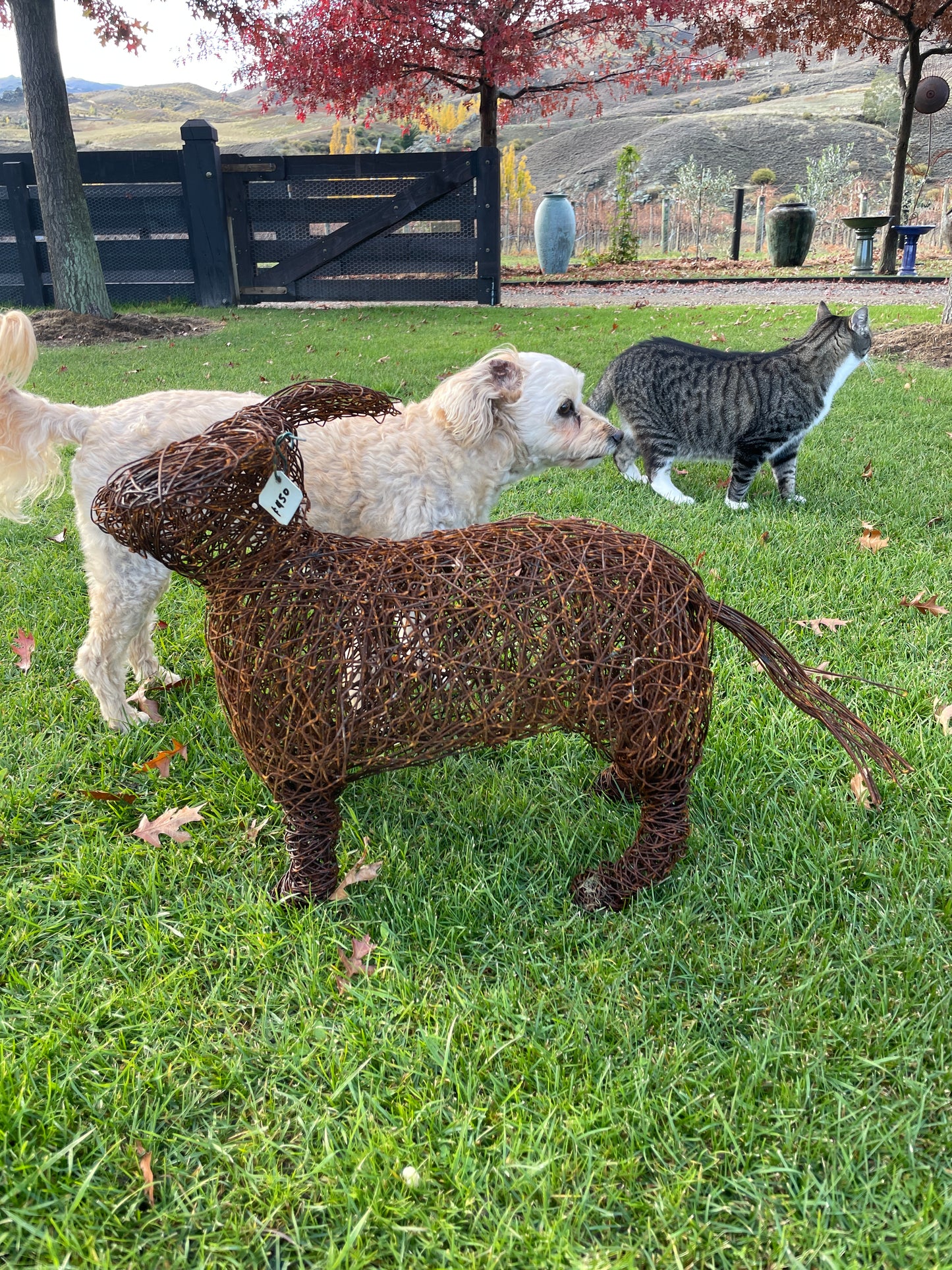 Small dog sculpture - wire