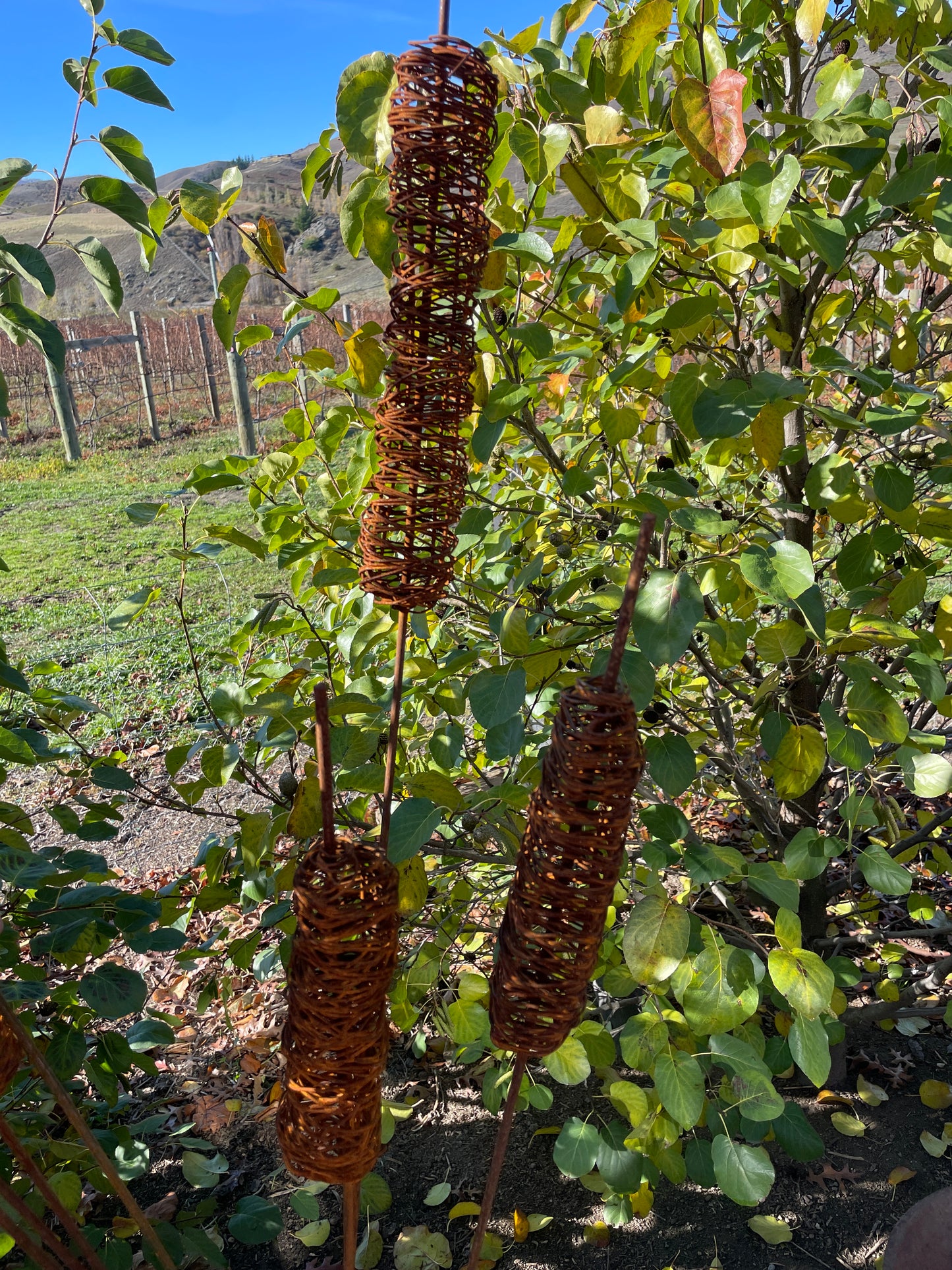 Garden stakes - decorative