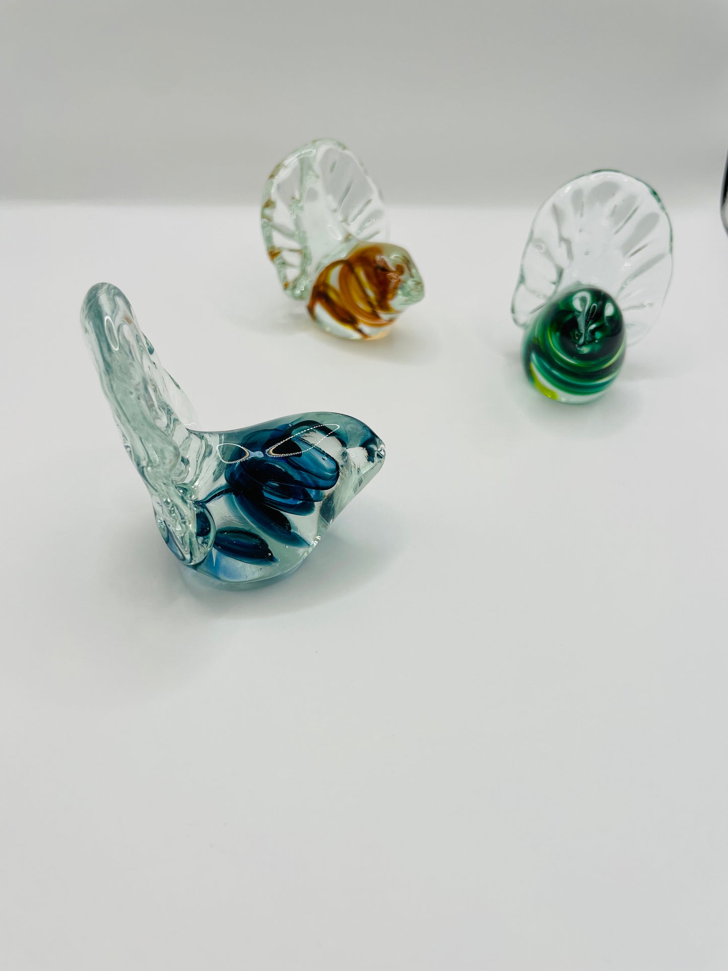 Glass Fantail