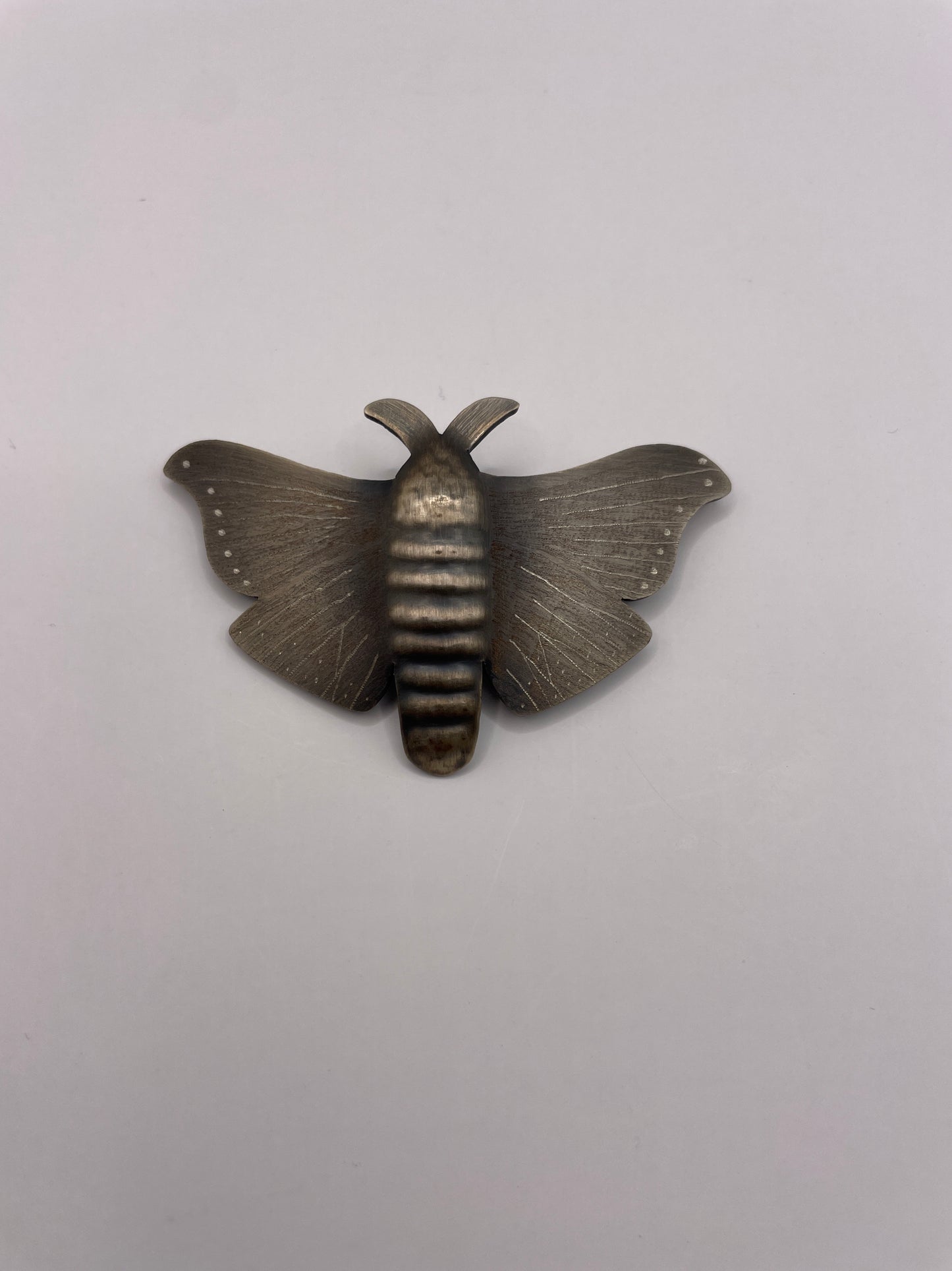 Puriri Moth Brooch Silver (large)